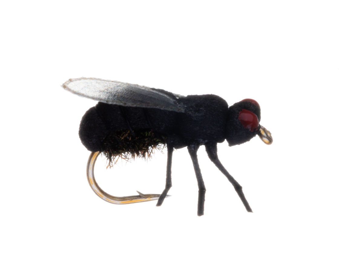 15916_Vania-Realistic-Black-Fly