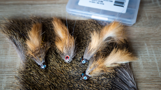 Bindevideo 'Articulated Sculpin Streamer' mit Martin Rieck