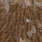 mottled grey dyed golden straw