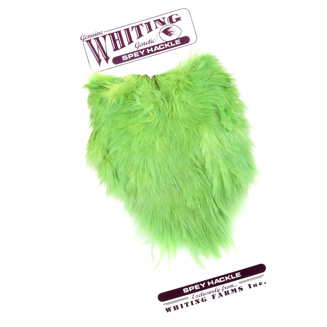 Whiting Spey Hackle Hen Saddle