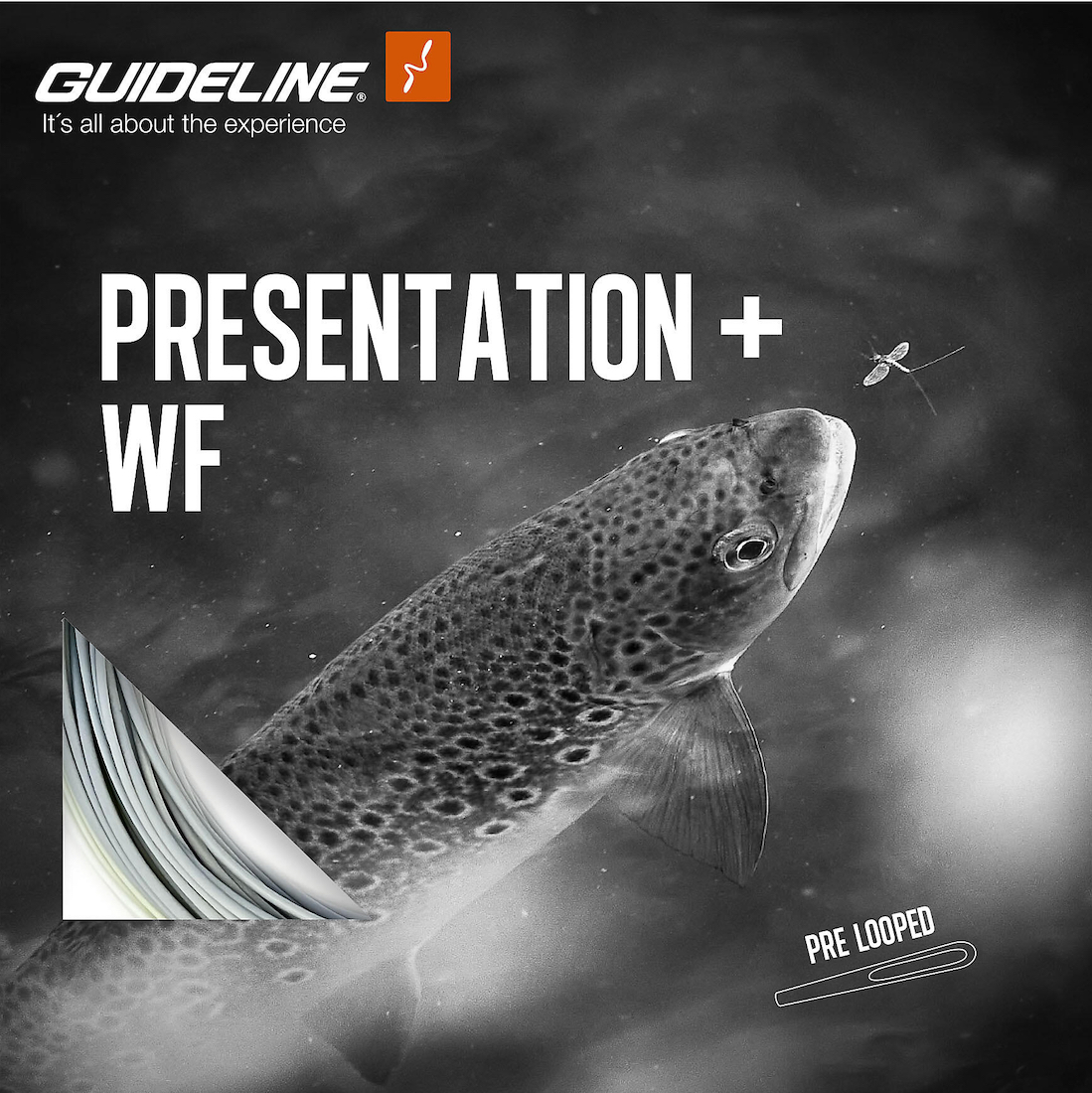 P-23795_Guideline_Presentaion-_Fliegenschnur_ Guideline Presentation+ Fliegenschnur Floating