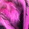 fluo pink