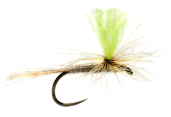 Fulling Mill Trockenfliege - Procter's Hi Vis Para Duster Barbless