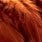 fiery brown
