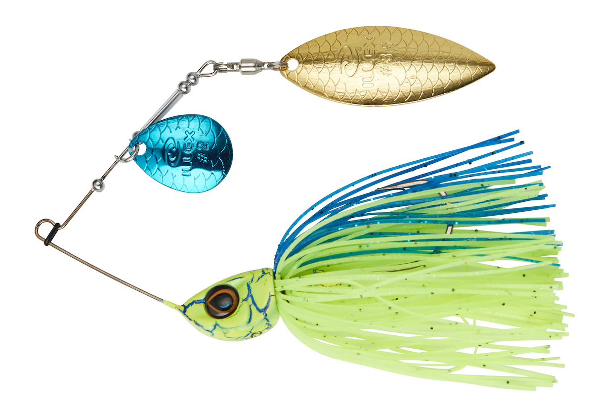 blue back chartreuse