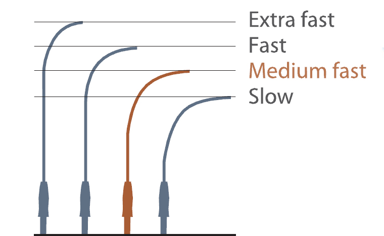 vision-glass-trout-2