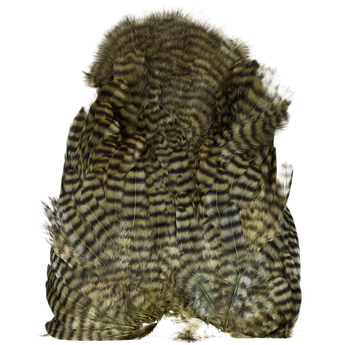 P-25432-5_Whiting-Rooster-SH-C_grizzly-dyed-dark-olive grizzly dyed dark olive