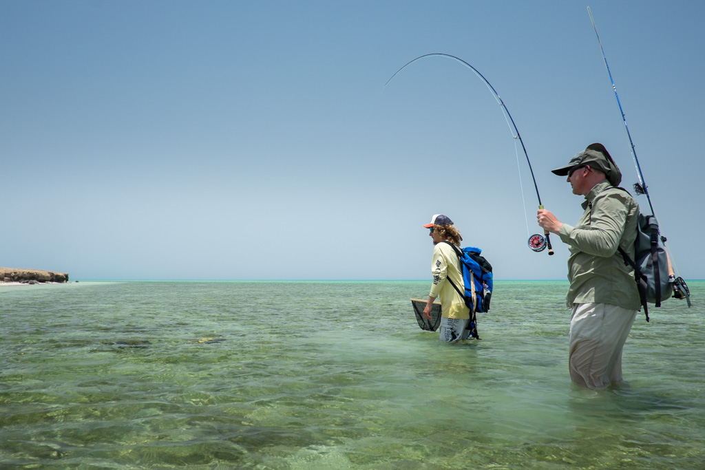 sudan2015-7 - Fliegenfischen auf den Nubischen Flats