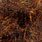 black fire
