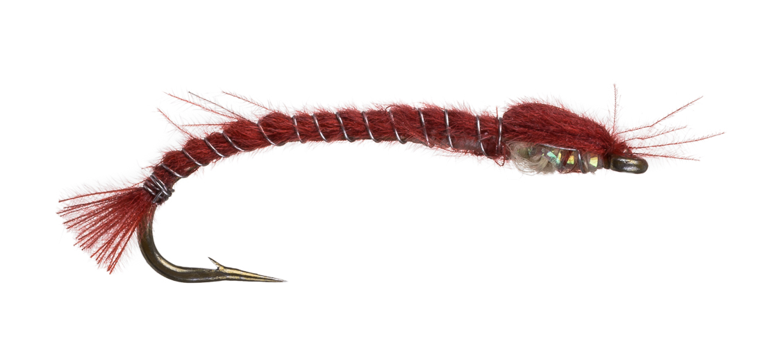 2mp37 Marc Petitjean Nymphe - MP37 Mückenlarve rot