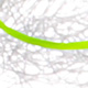 chartreuse / white