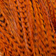 grizzly burnt orange