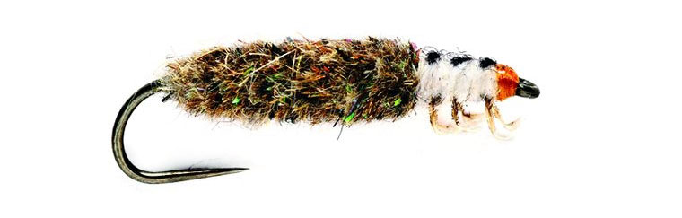 Fulling-Mill-Nymphe-Finish-Case-Caddis Fulling Mill Nymphe - Finish Case Caddis