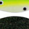 lime burst