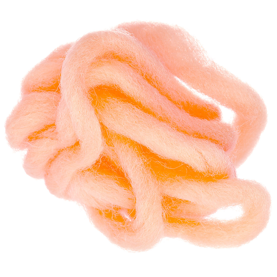 Salmon Egg