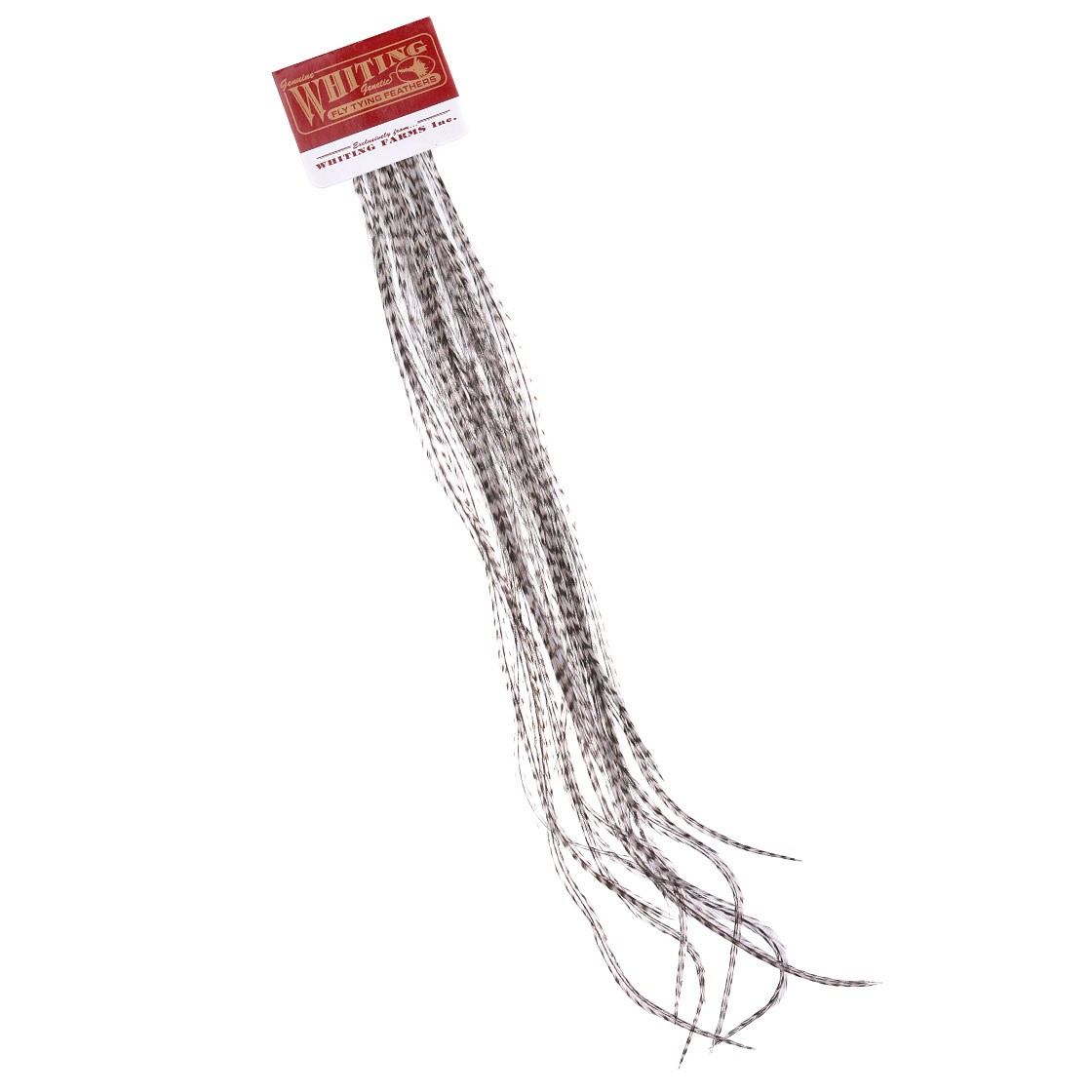 P-25411_Whiting-100-Pk-Size-10