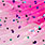 CLT 329 salmon pink/hot pink
