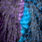 grizzly pardo purple & kingfisher blue