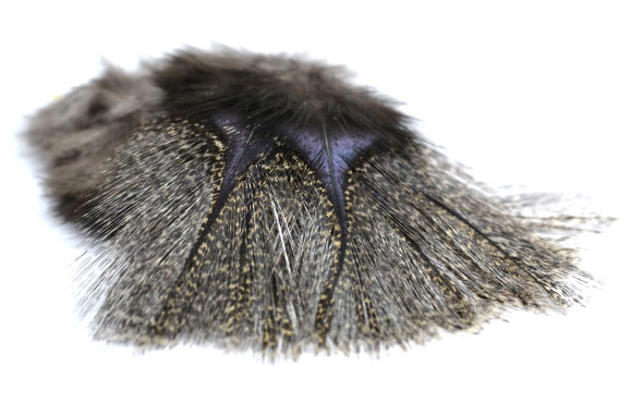 P-20890-1_Fasna_Coq_de_Leon_1_12_Feathers_corzuno-oscuro corzuno oscuro