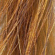 sunburst yellow light/dark