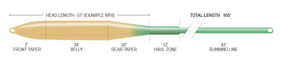 Airflo_Superflo_Ridge_2-0_Flats_Tactical_Taper_Fliegenschnur_Floating_3