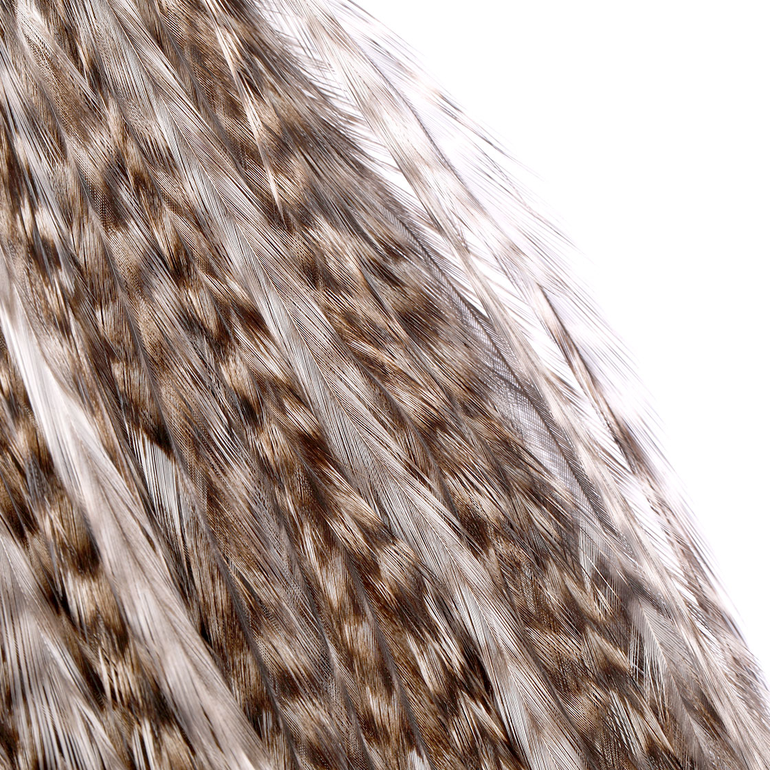 P-28067_Whiting-Coq-De-Leon-Gold-Grade-Saddle-Grizzly-pardo_detail