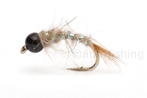 terrys-black-head-detail