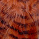 burnt orange/black