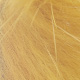 lion yellow