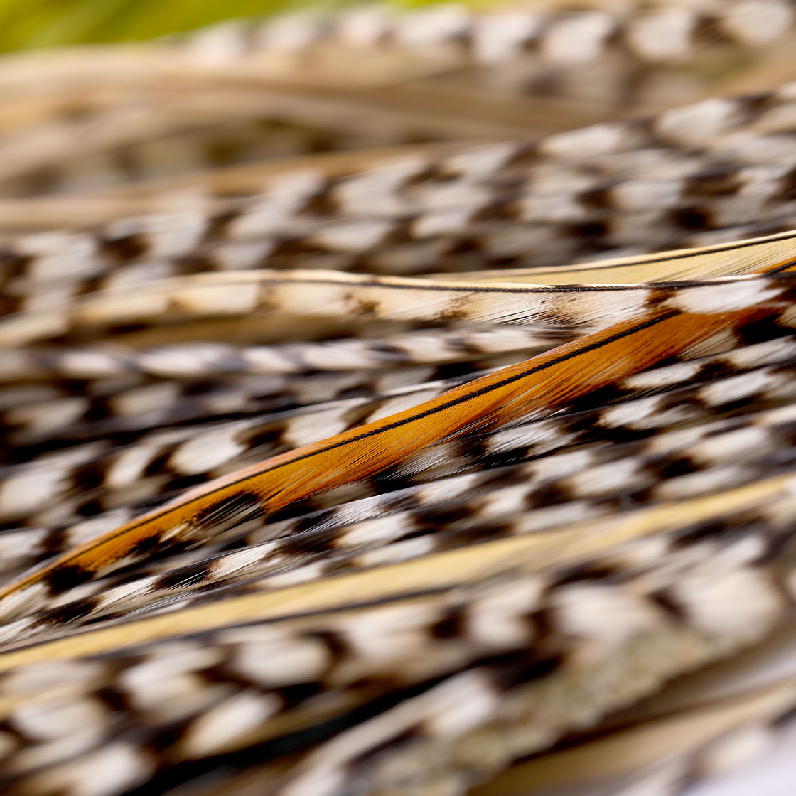 P-25418_Whiting-Bronze-1_2-Saddle_detail-1