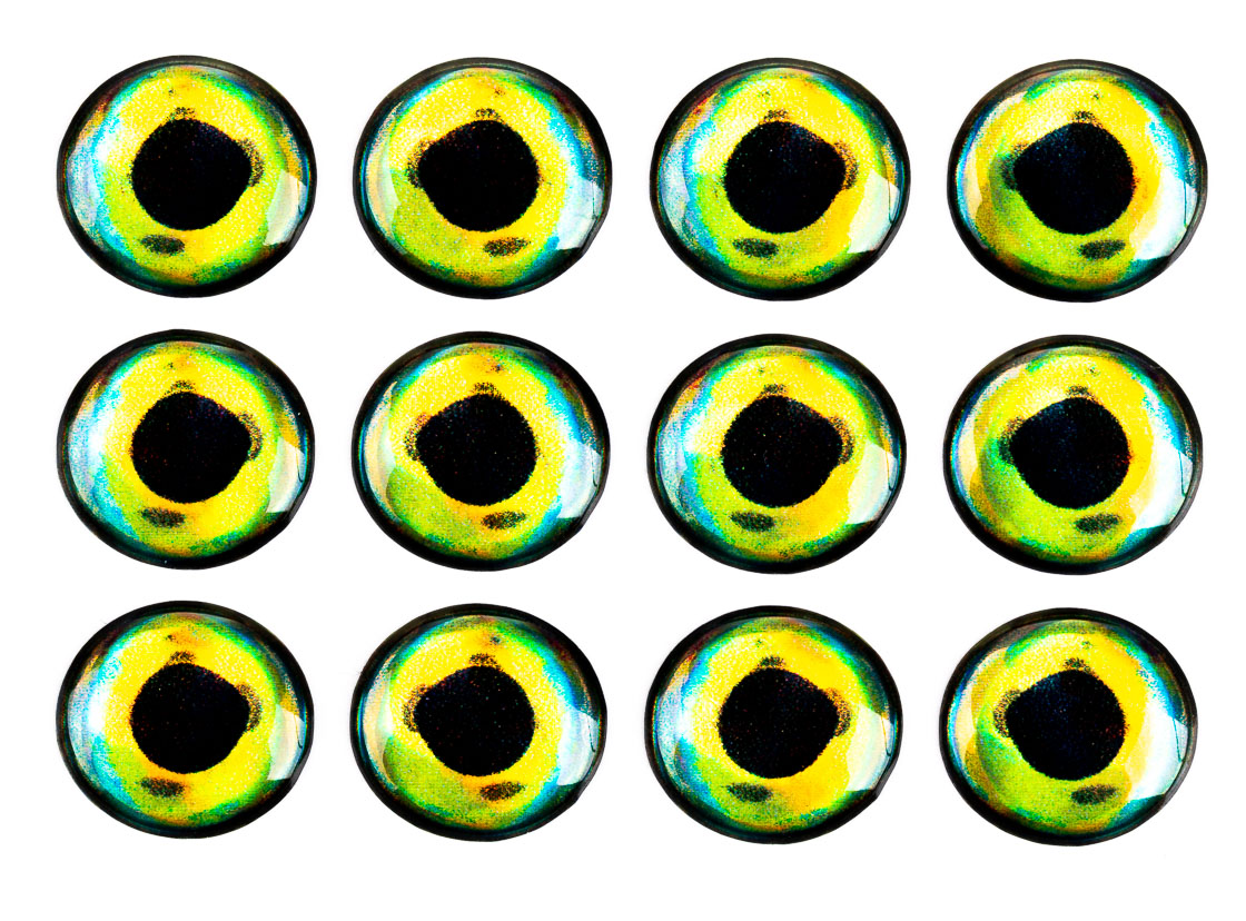 dorado