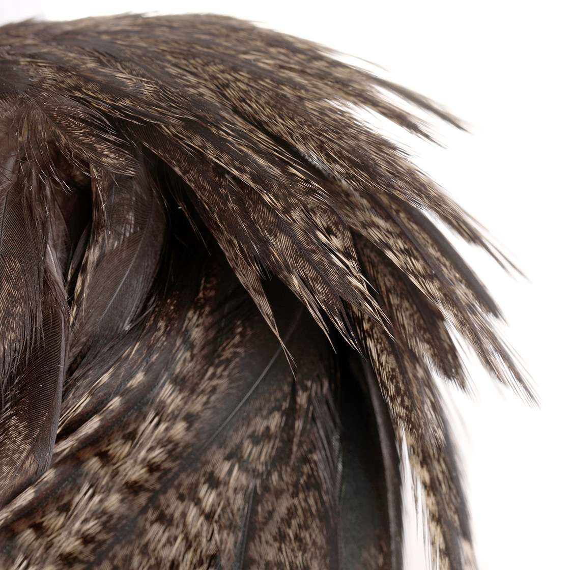 P-21043_Whiting-Coq-de-Leon-Hen-Cape-unique-variant_detail