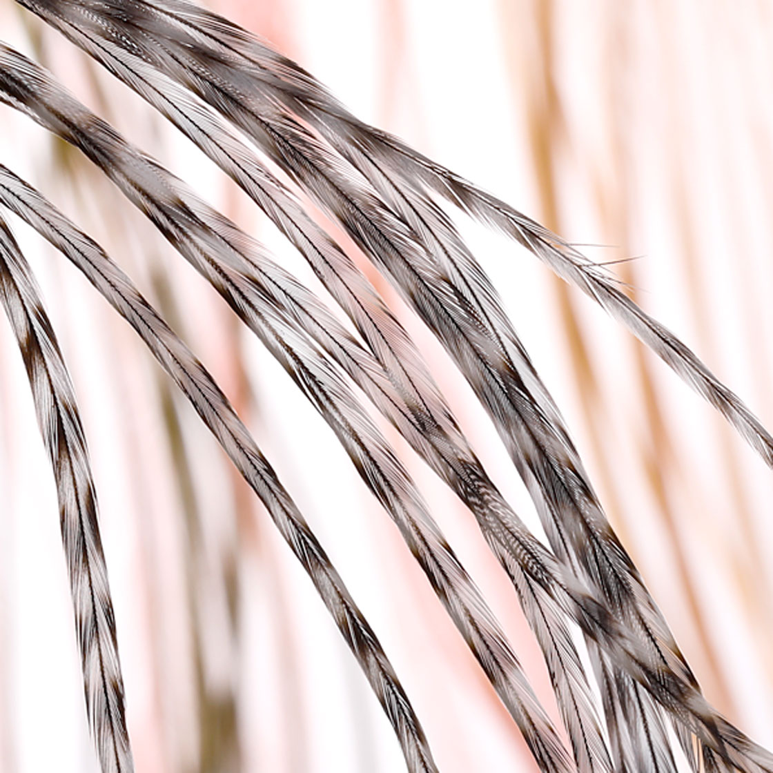 P-25413_Whiting-100-Pk-Size-20_detail