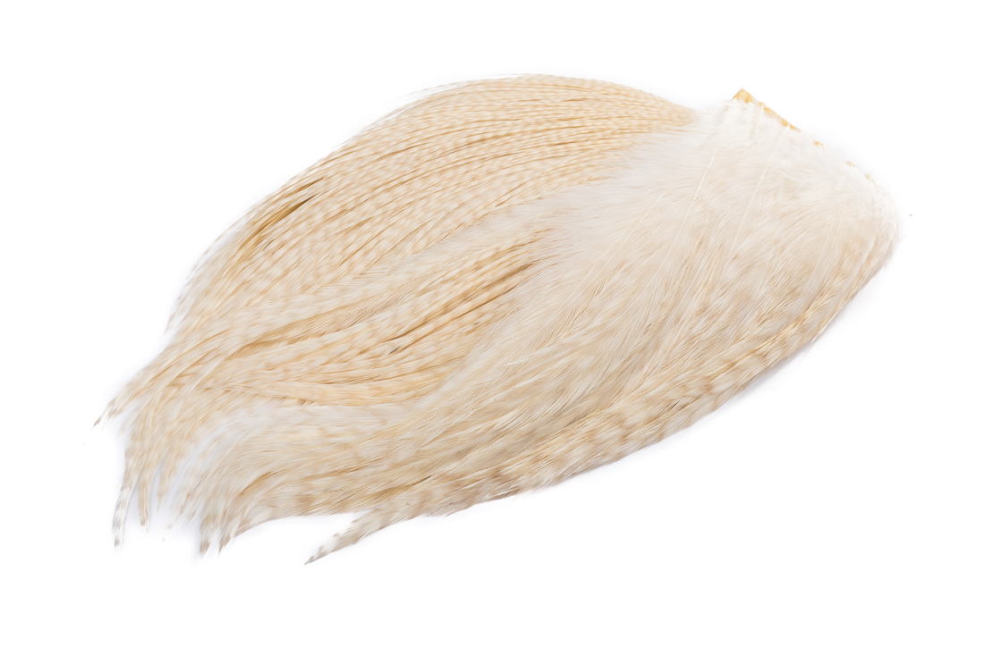 whiting_bugger_pk_ghost_barred_white grizzly white