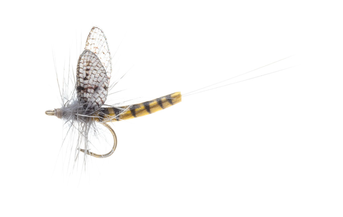 15925_Vania-Realistic-Mayfly-BWO Vania Realistic Mayfly BWO Trockenfliege