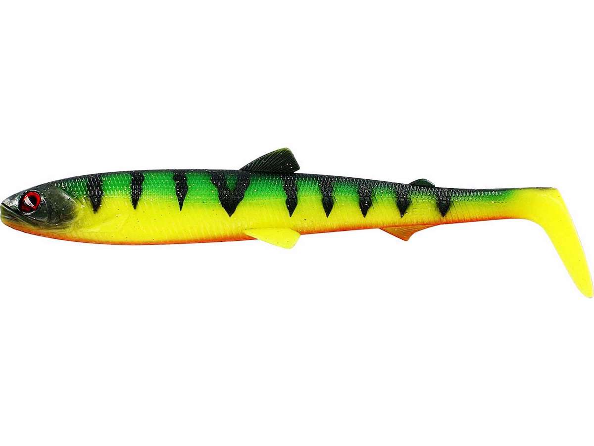 tiger perch