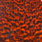 grizzly dyed orange
