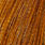 barred dark ginger