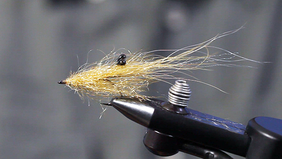 Tom Jansen: Bindevideo eine Veggie Shrimps