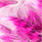 TSR 8 hot pink/black over white