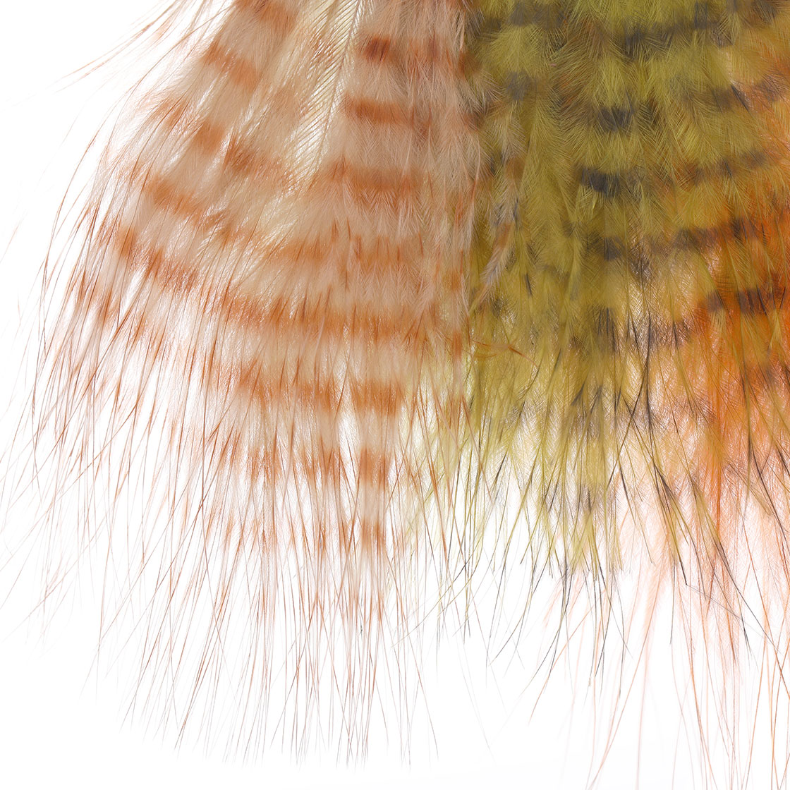 P-27105_mini-barred-marabou_detail