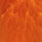 white dyed orange