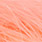 14 salmon