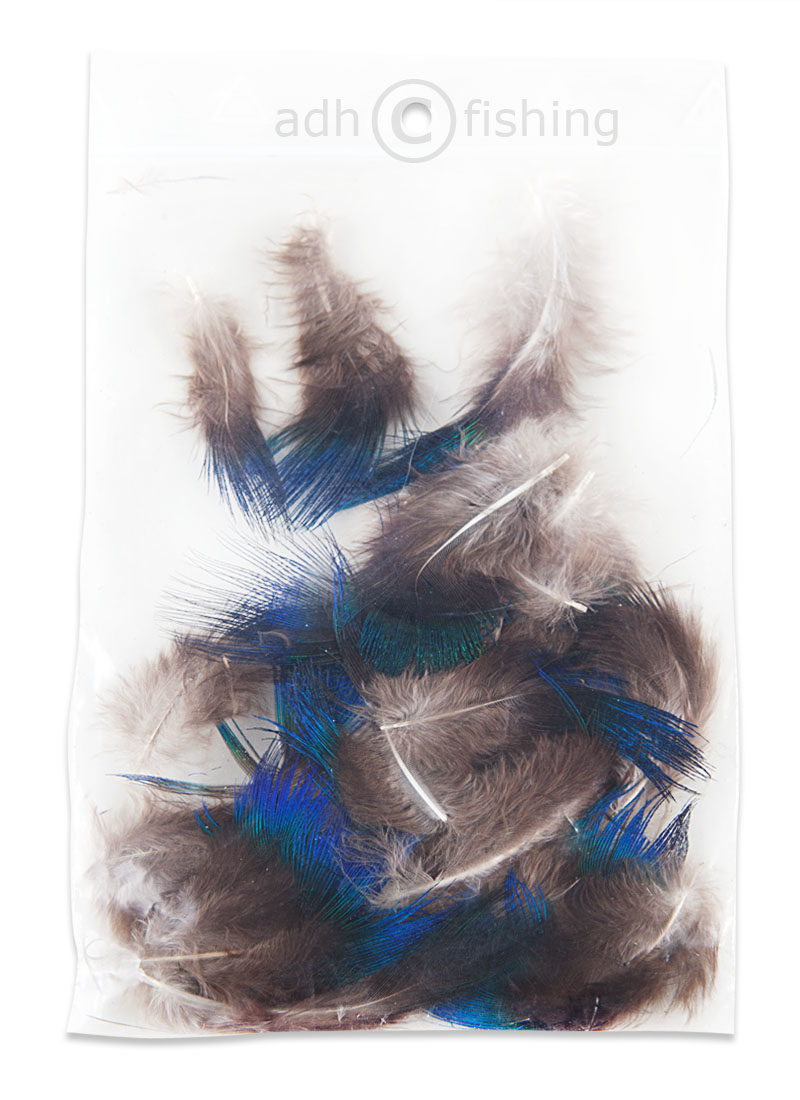 pfaukoerperfedern_titel_hi