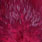 white dyed claret