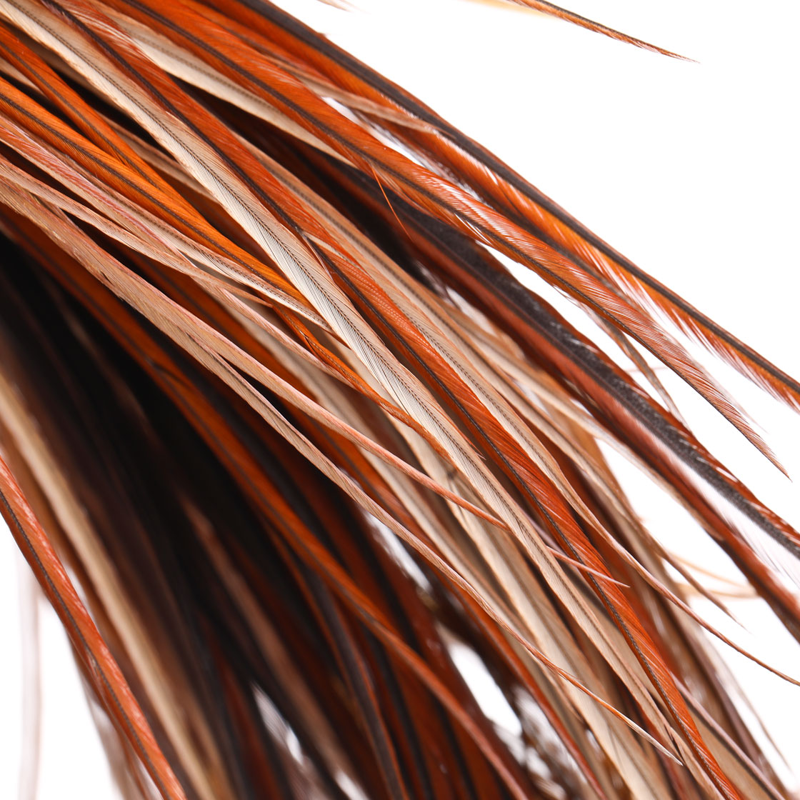 P-25422_Whiting-Gold-Saddle_detail