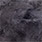 16 dark dun