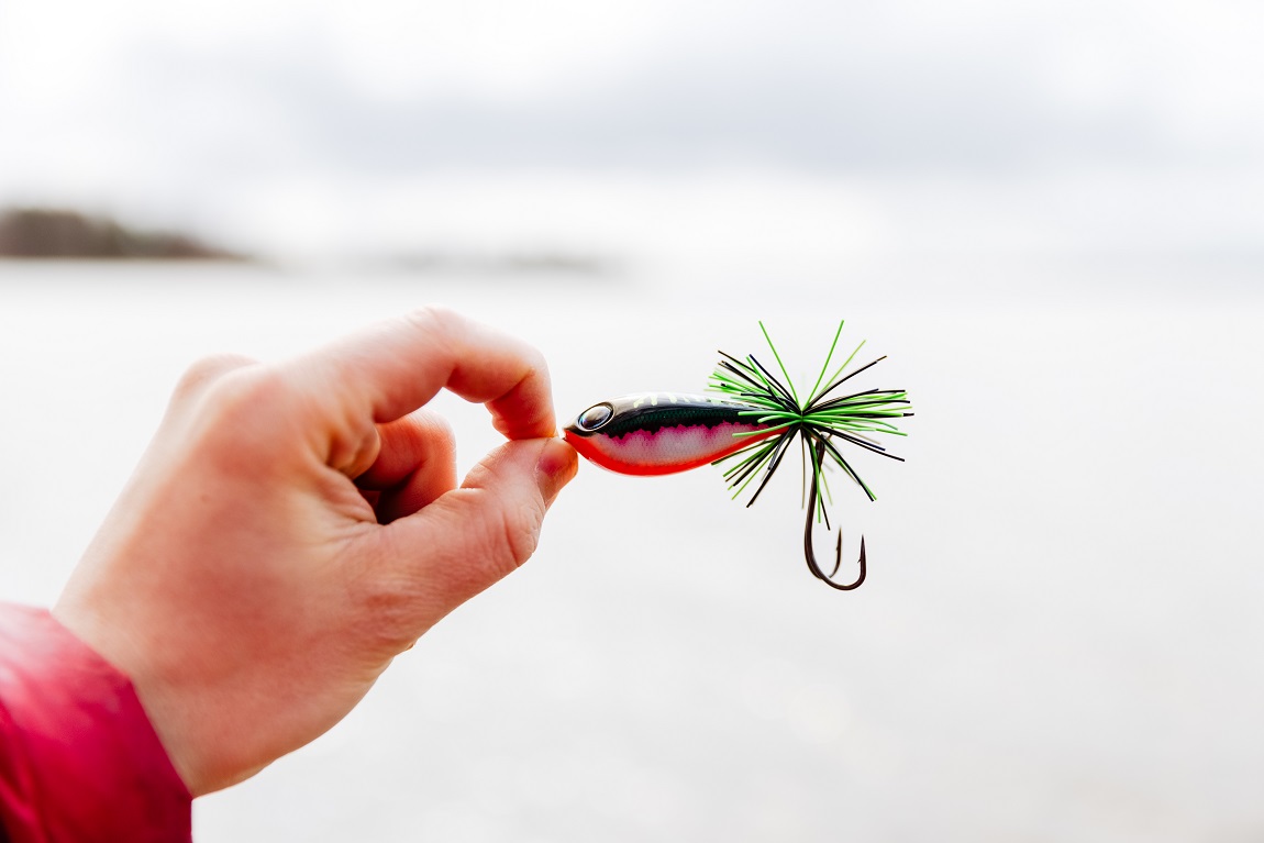 P-20472_Rapala_BX_Skitter_Frog_1