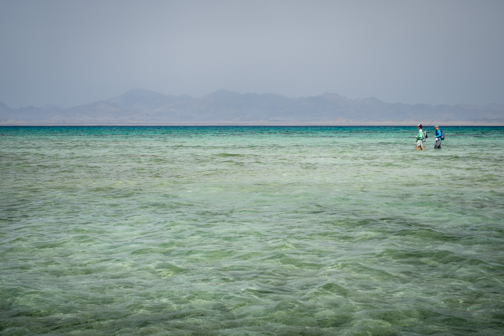 sudan2015-47 - Fliegenfischen auf den Nubischen Flats