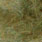 psychedelic dark olive